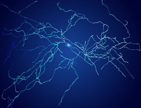 Neurons, synapses, neural network circuit of neurons, brain, degenerative diseases, Parkinson