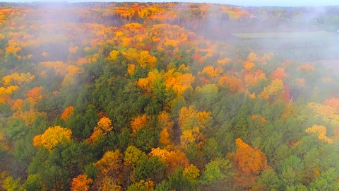 Dazzling aerial view of breathtaking Autumn colors with misty fog, aerial view.
