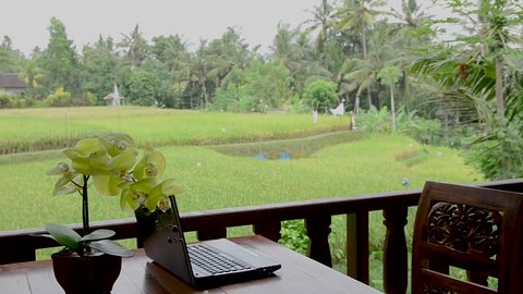 Tourism blogger posting travel tips, typing on laptop