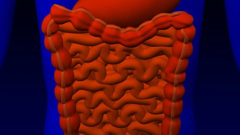 Flatulence. Illustration - 3d man with intestinal gases. 3D rendering.