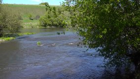 Spring river stream at sunny weather, 4K UHD video clip