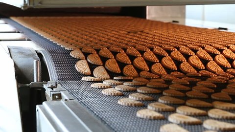 Production line of baking cookies. Conveyor with cookies. Many sweet cake food factory. Freshly baked shortbread cookies leave the oven. Cookies on a conveyor in a confectionery factory oven.