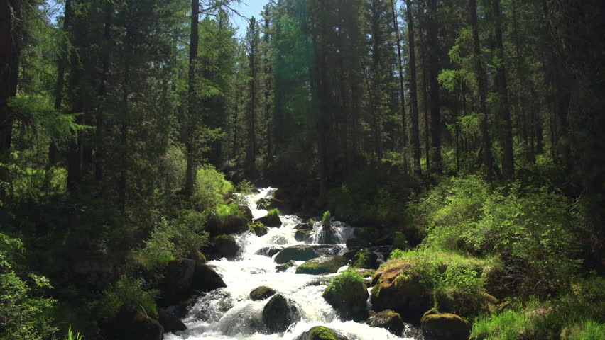 nature river waterfall forest sun morning Stock Footage Video (100% ...