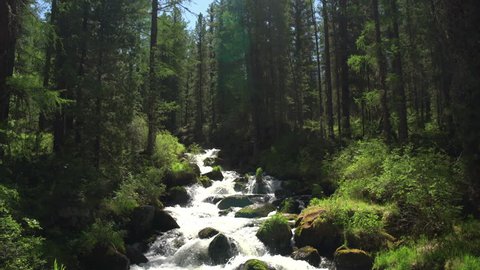 Beautiful stream of small mountain river at the deep Siberian forest, Khakassia, Russia