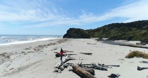 Woman tourist on New Zealand beach balancing on tree trunk playful in Ship Creek and Kahikatea swamp forest, Haast Highway, West Coast Region of South Island, New Zealand. Aerial drone video landscape