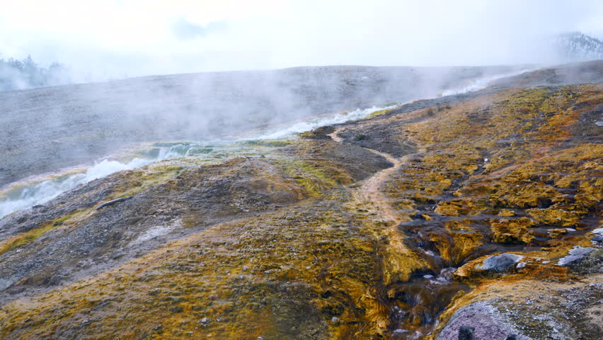 Grand Prismatic Spring Area, Yellowstone National Park, Unesco World Heritage, Wyoming, Usa, North America, America