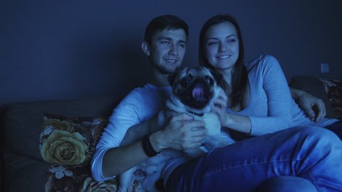 Couple watching television program with flashing images in dark room with dog, late night movie or other tv show. A man stroking a dog, having fun