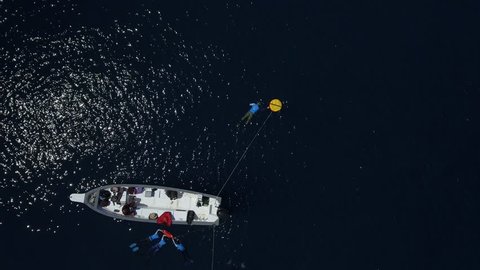 People praciticing freediving, aerial view.