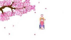 A woman with a wheelchair elderly walking in the spring when cherry blossoms bloom and her husband.
