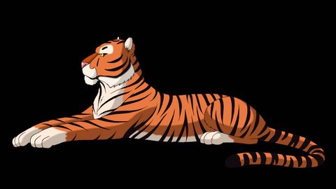 Big Tiger Lies and Growls. Animated Motion Graphic with Alpha Channel.