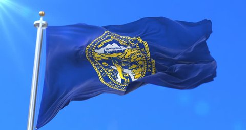 Flag of american state of Nebraska, region of the United States, waving at wind - loop