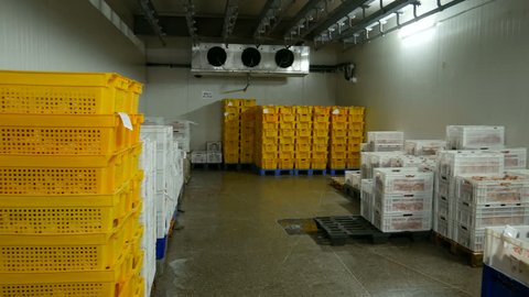 Refrigeration room with ready products at a meat-packing plant