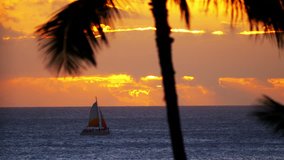 
Professional video of sailing boat at the sunset in Hawaii in 4k slow motion 60fps