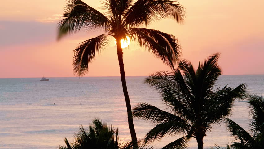 Professional video of colorful sunset in Waikiki beach Hawaii in 4k slow motion 60fps