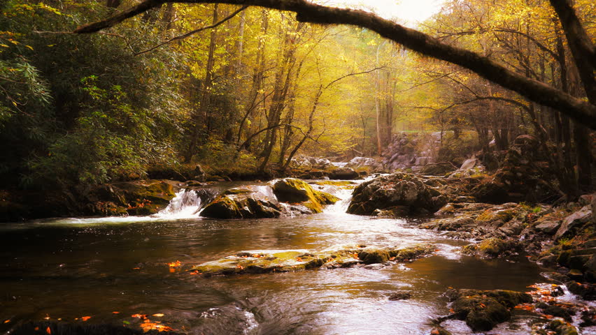 A river flows through the mountains of Tennessee during autumn