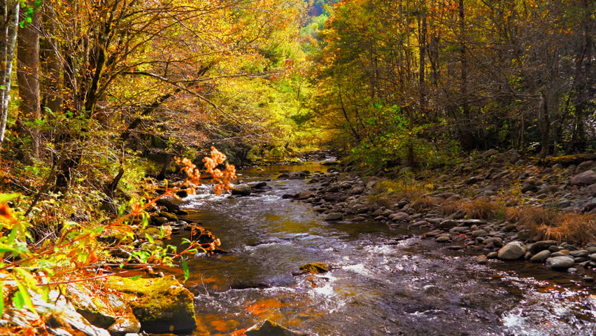 A river flows through the mountains of Tennessee during autumn