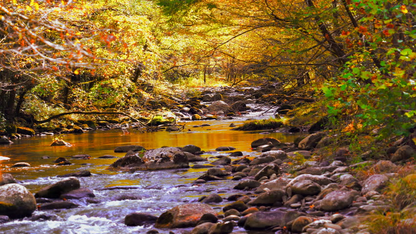 A river flows through the mountains of Tennessee during autumn