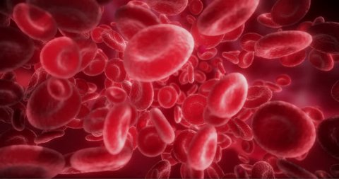 Red Blood Cells Moving in the Blood Stream, in an Artery. 3D Animation of Hemoglobin Cells Traveling Through a Vein.