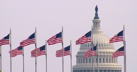 The United States Capitol Building with US Flags in Foreground Washington DC
