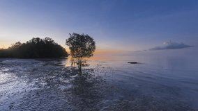 Lone tree on a beach at sunrise in Borneo Sabah, Malaysia. Time lapse. 4KUHD. Camera Slide to left motion.