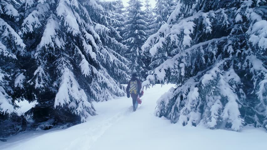 
Snowboarder walking among trees with snowboard in hand. Aerial View. 