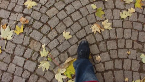 Feet Moving at Sett Road, Beautiful Pattern, Autumn Leaves. Awesome Background.