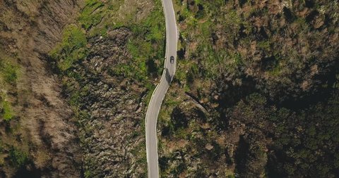 Aerial. Drone follows car on mountain road turns. Birds eye view on a narrow sunny forest driveway. Driving pleasure. 4K