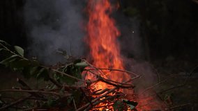 Video clip of branches being thrown on fire