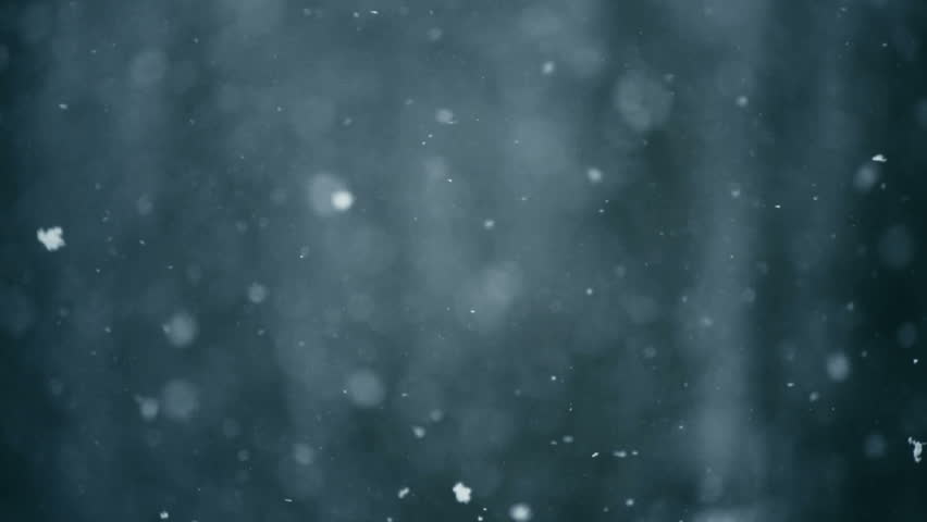 Snow falls at slow motion. Close up shot Royalty-Free Stock Footage #1007860510