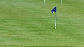 Video UHD (3840x2160) - Little flag with a light and dark blue checker pattern. stands marking a hole on a golf course. fluttering gently in a light breeze at midday.