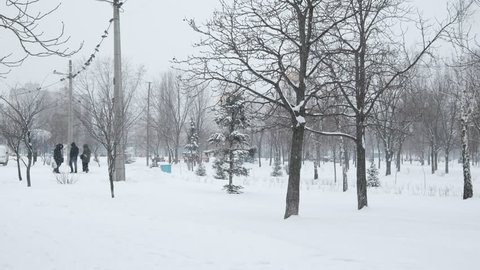 city park during a snowfall
