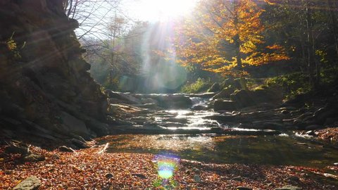 The mountain river in autumn forest at amazing sunny day
