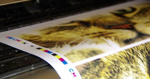 Plotter printing cmyk work on paper in loopable seamless animation. Digital large inkjet machine in time-lapse footage.