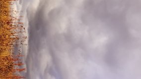 Vertical video. Clouds over dry grass. Time Lapse