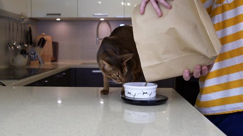 Man feeding cat by pouring food into a bowl in kitchen