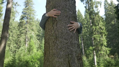 Closeup of young environmentalist woman hugging a tree thank relaxing in forest nature