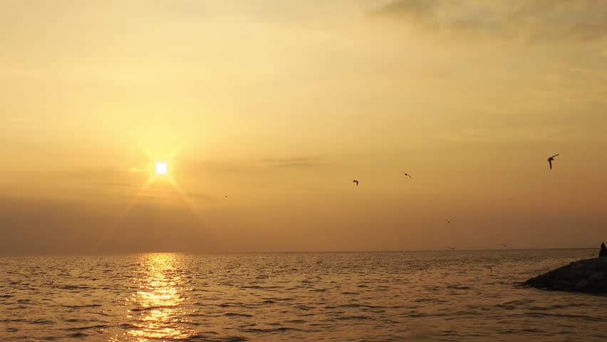 1920x1080 25 Fps. Winter Golden Seascape View From Beach Sunset Sun Rays View Video.