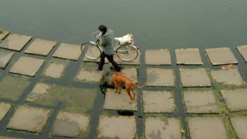 Urban exploration and companionship: striking woman in thirties strides across sizeable flat stones placed in shallow aquatic expanse, accompanied by robust brown canine companion. Medium-sized dog with copper-hued fur traverses moss-covered terrain while exploring surroundings together, showcasing mutual connection during leisurely excursion. Female pushes bicycle alongside while moving, wearing light gray jacket with black leggings that complement earthy tones of setting. Overhead shot captures vertical composition and depth as layers of stone lead toward water