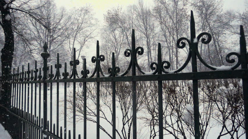 hard snow fall at the city
