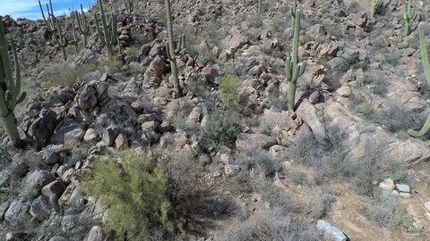 Aerial Shot, Fly between giant saguaro cactus on rocky hillside in Arizon desert landscape on sunny day, blue sky. 4K
4K, 3840x2160