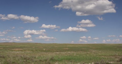 Wide pan left to prairie dog on empty prairie dog town with blue skies and white clouds