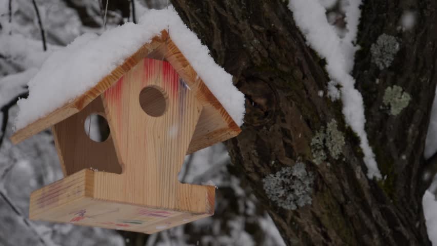 bird house in winter