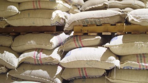 Sacks of coffee beans from south america production 4k