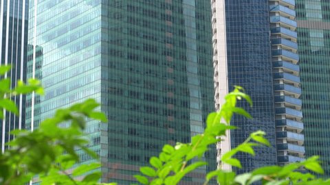 CLOSE UP: Urban glassy buildings overlook green park in downtown of metropolitan city. Upscale business district buildings soaring into the sky. Green tree leaves rustling in gentle winds on sunny day