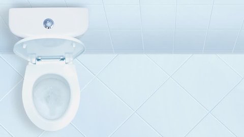 Cinemagraph - Toilet in the bathroom.  View from above.Motion Photo.