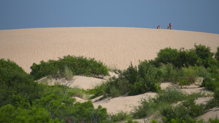 jockeys ridge state park, largest sand dune on east coast of USA