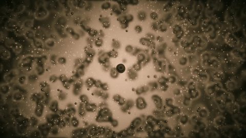 viruses attacking cells or bacterias under microscope 3d rendering 4K: stockvideo