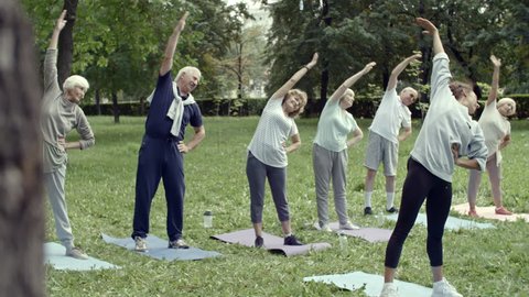 Tilt down shot of six elderly people and their trainer performing stretching exercise during group workout in park