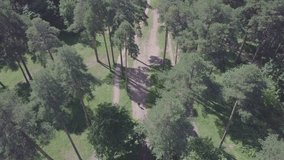 Aerial drone gliding shot of a sunny forest park. Clip. Top view of spring park, weekend