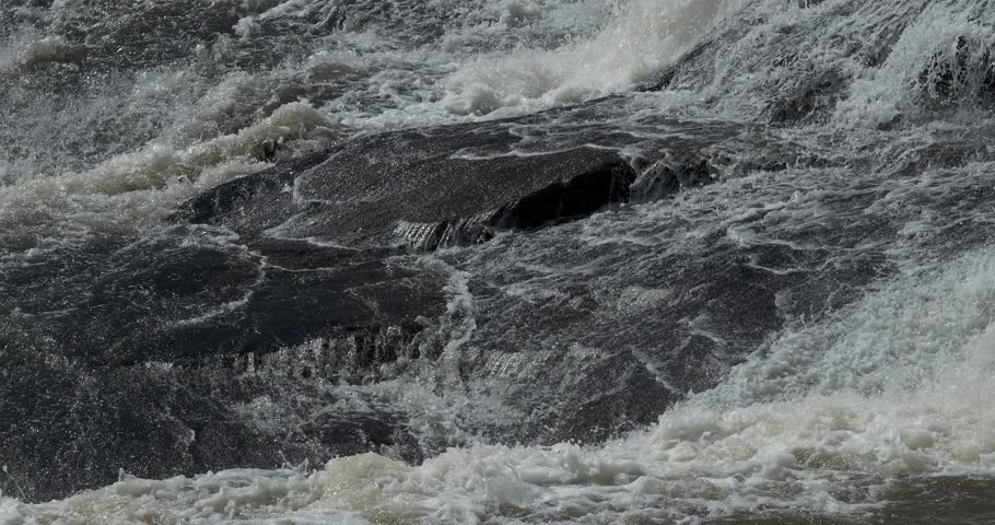 High Falls State Park, Georgia